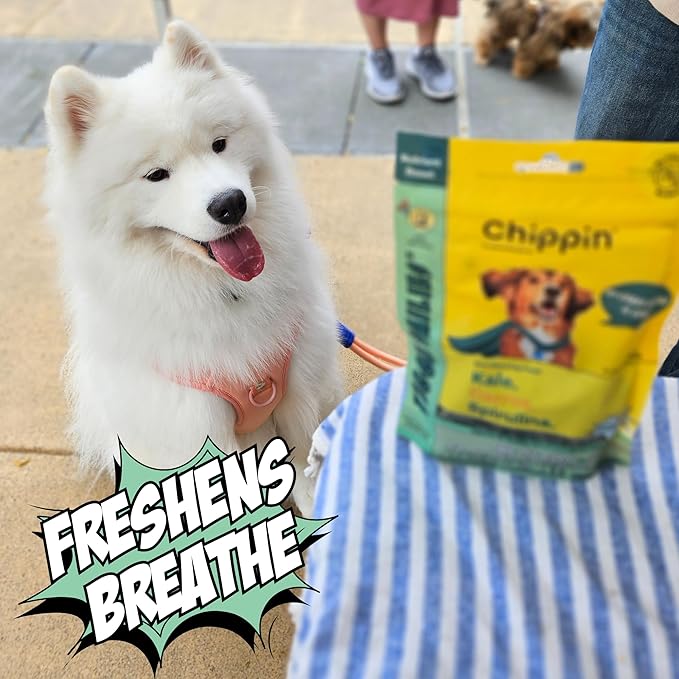 Chippin Healthy Dog Treats with Kale, Carrots, & Spirulina, Crunchy Vegan Biscuit, All-Natural, Hypoallergenic Gift for Dog Lovers, Gentle on Sensitive Stomachs, Gut Healthy Meal Topper, 2-Pack