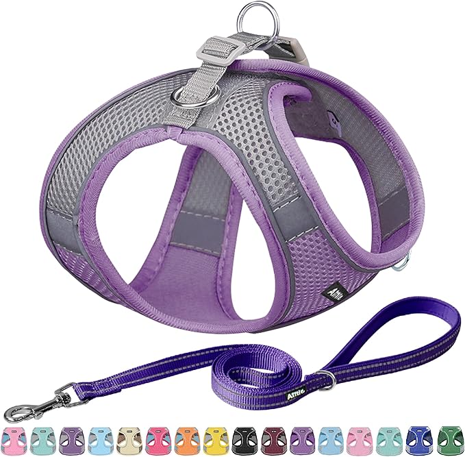 AIITLE Small Harness for Puppy with A Leash - Summer Dog Vest Harness with Super Breathable Mesh, Reflective No-Pull Pet Harness for Outdoor Walking, Camping for Small Dogs, Cats Purple XXS