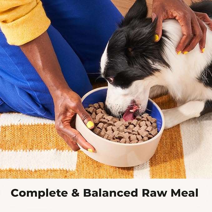 Chonky Chicken - Freeze Dried Raw Dog Food, Complete Meal, Real Cuts of Chicken for Training, Meal Topper, High Protein, 21g Per Cup, Made in The USA, 8oz Bag