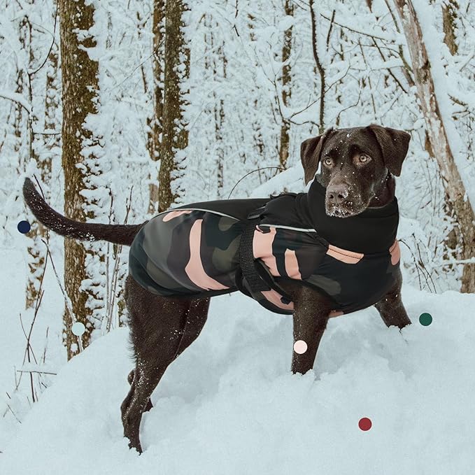 IECOii Extra Warm Dog Coat - Reflective Adjustable Jacket for Small to Extra Large Dogs - Buckle Fleece Turtleneck for Cold Weather