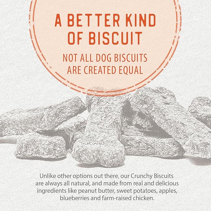 Caledon Farms The Dodo Crunchy Biscuits - Sweet Potato with Peanut Butter 19.5oz, Dog Treats