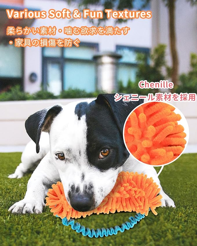 SCHITEC Tug Toy for Dogs, Bungee Tug of War Rope Toys with Squeaky Sound for Exercise & Interactive Play Games, Puppy Training Pull Toy for Small Medium Large Dog