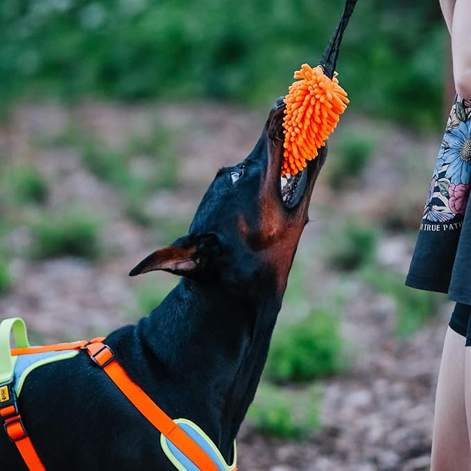 Dingo Shaggy tug Toy for Dog, nuby Noodle Plush, tug of war, Outdoor Play, Dog Training, Agility, Bungee Handle 9-18in, Orange