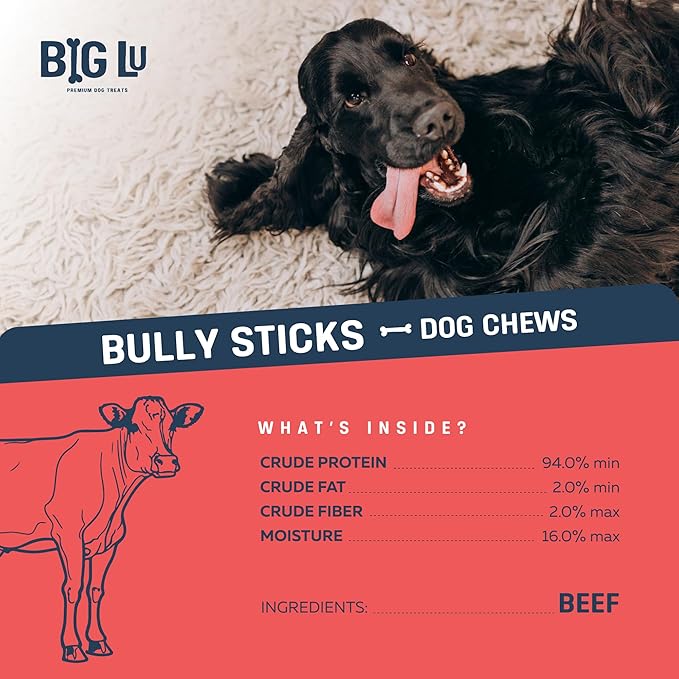 Big Lu - 6” Jumbo Bully Sticks, 10 Count, 100% Grass-Fed Beef Chews, Fully Digestible, Long-Lasting Treats for Aggressive Chewers, Natural Single-Ingredient Chews for Medium & Large Dogs