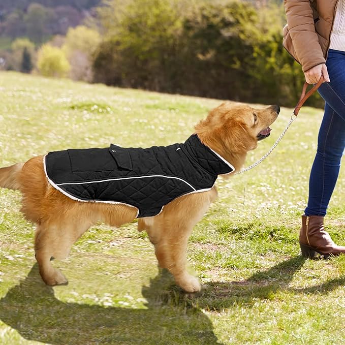 Malier Dog Winter Coat, Windproof Dog Cold Weather Coats with Real Pocket, Winter Extra Warm Pet Coat Fleece Jacket Reflective Clothes for Small Medium Large Dogs and Puppy (Black, Medium)