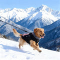 Dog Coat for Medium Large Dogs,Waterproof Reflective Dog Winter Jacket with Harness, Fleece Snowsuit,Warm Pet Winter Coat(pink-2XL)
