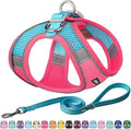 AIITLE Step in Dog Harness and Leash Set - Summer No Pull Escape Proof Vest Harnesses with Soft Mesh and Reflective Bands, Adjustable Pet Outdoor Harnesses for Small and Medium Dogs Hot Pink M