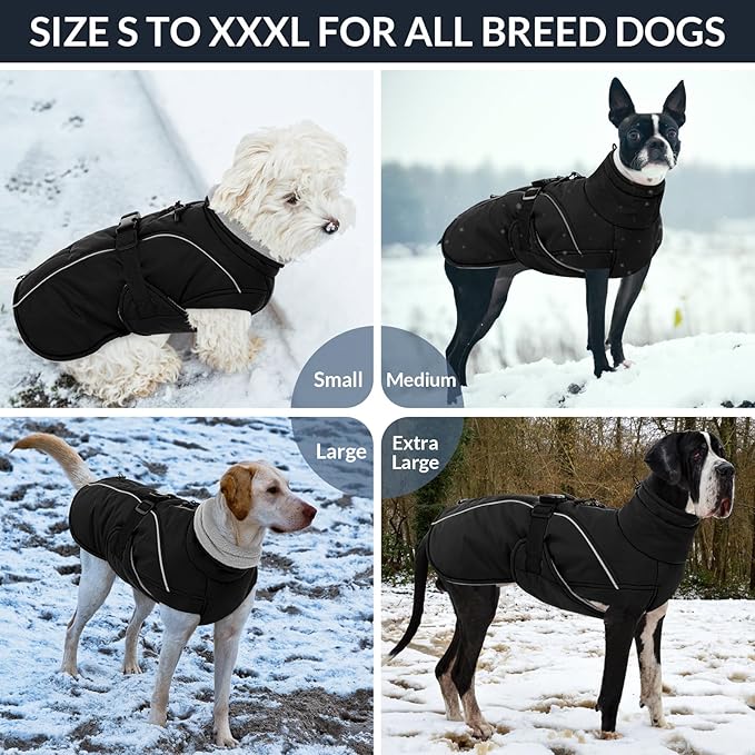 Queenmore Winter Dog Coat Warm Dog Jacket Vest Waterproof Puffer Fleece Snowsuit Adjustable Buckle Leash Hole Reflective Cold Weather Parka for Small Medium Large Dogs Girl Boy Black M