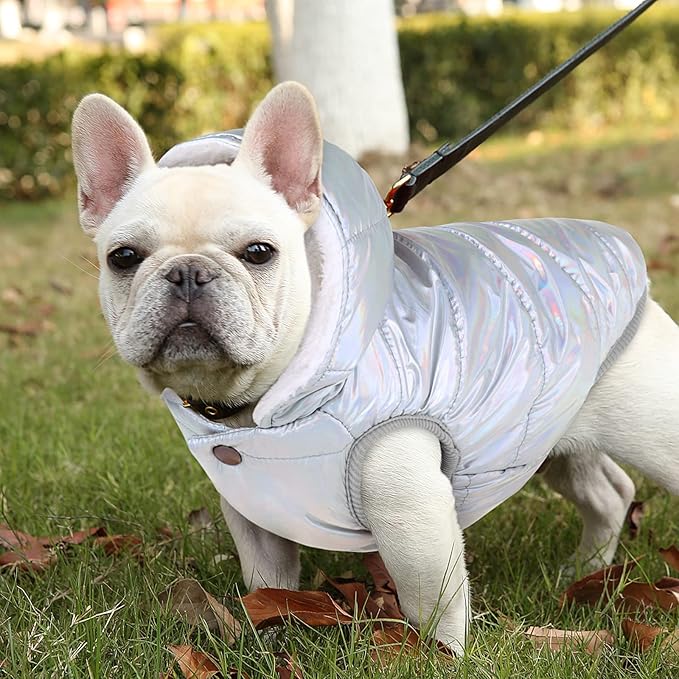 Windproof Waterproof Dog Coat Fleece & Cotton Lined Warm Jacket, Cold Weather Pet Apparel Clothes Vest for Small Medium Large Dog (XL, Silver)