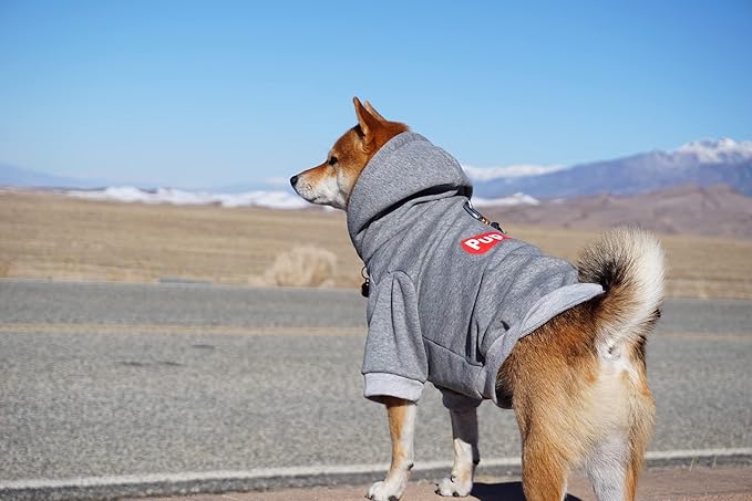 ChoChoCho Pup Dog Hoodie, Cat Hoodies - Fashion Dog & Cat Clothes, Cotton Sweatshirt Outfit for Small to 4XL (Gray)