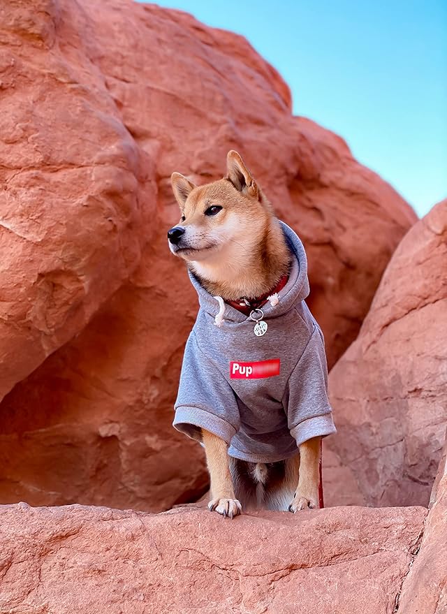 ChoChoCho Pup Dog Hoodie, Sweater, Fashion Clothes, Pet Clothing Cotton Cat Hoodies Stylish Streetwear Sweatshirt Gray Tracksuits Outfit for Puppy Small Medium Large (2XL)