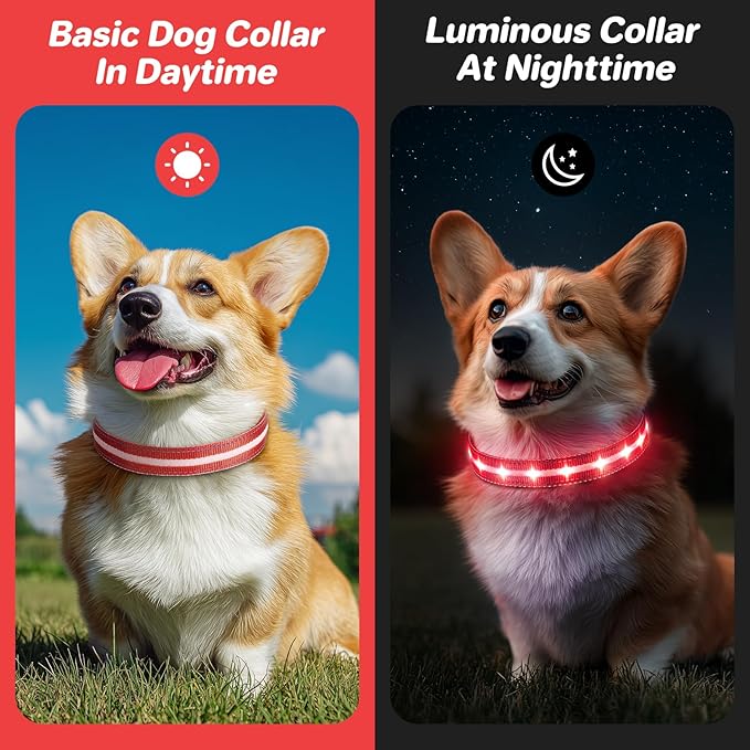 PcEoTllar Light Up Dog Collars, Led Dog Collar, Rechargeable, Night Walking, Waterproof, Glow in The Dark Dog Collars Light for Large Small Medium Dogs, Red m
