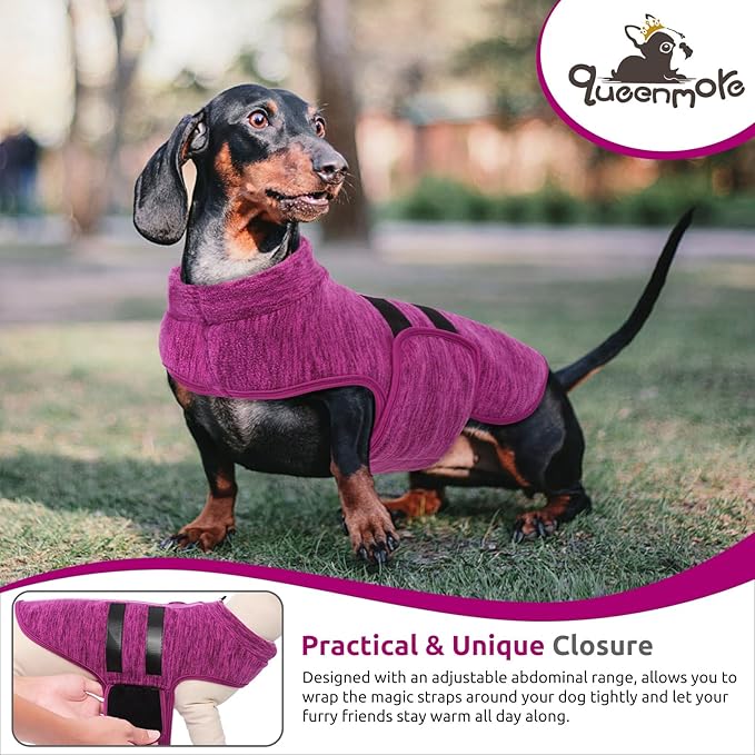 Queenmore Medium Dog Sweaters, Soft Fleece Vest Pullover Dog Jacket with Leash Hole, Warm Winter Dogs Clothes Cold Weather Doggy Dachshund Sweater for Medium Dogs Cats Boy or Girl (Cationic Berry,M)