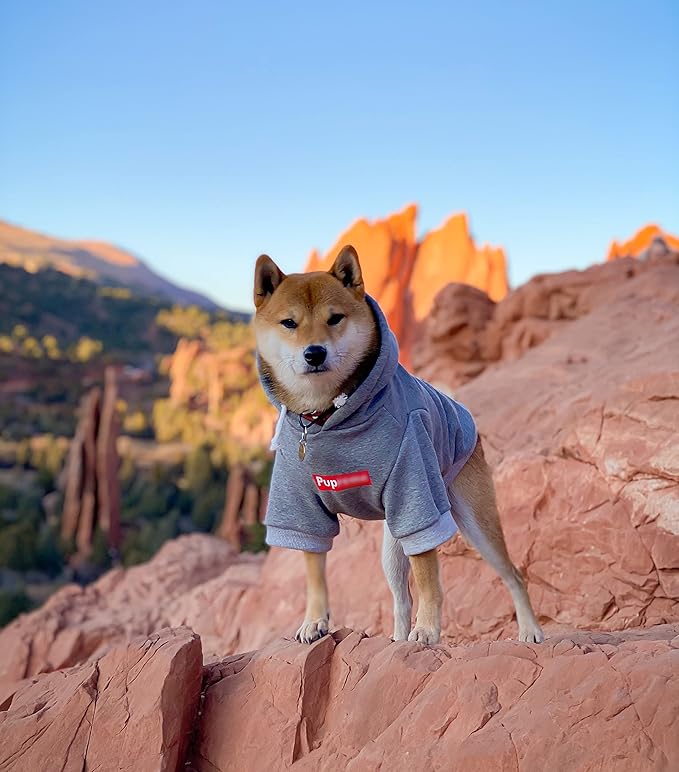ChoChoCho Pup Dog Hoodie, Dog Sweater, Fashion Dog Clothes, Pet Clothing Cotton Cat Hoodies Stylish Streetwear Sweatshirt Gray Tracksuits Outfit for Dog Cat Puppy Small Medium Large (L)