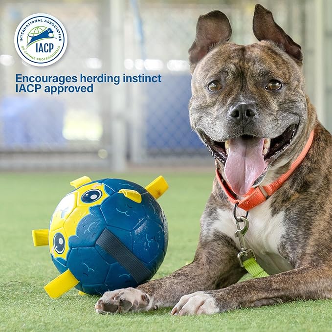 Race&Herd 6" Jolly Soccer Ball for Dogs - Tough Durable Dog Ball Toy with Straps, Pet Bouncy Herding Balls for Dogs, Floating Dog Balls with Tags for Water Fetch (BaaBaaBall, Baby Sheep)