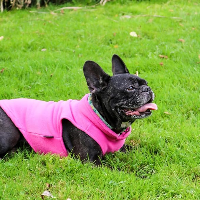 JACKO & CO - Fleece Vest Dog Sweater with Leash Ring - Soft, Warm & Lightweight Pullover Coat for Small & Medium Dogs, Puppies & Cats - Cozy Fall/Winter/Spring Pet Jacket (Pink, Medium 6-10lbs)