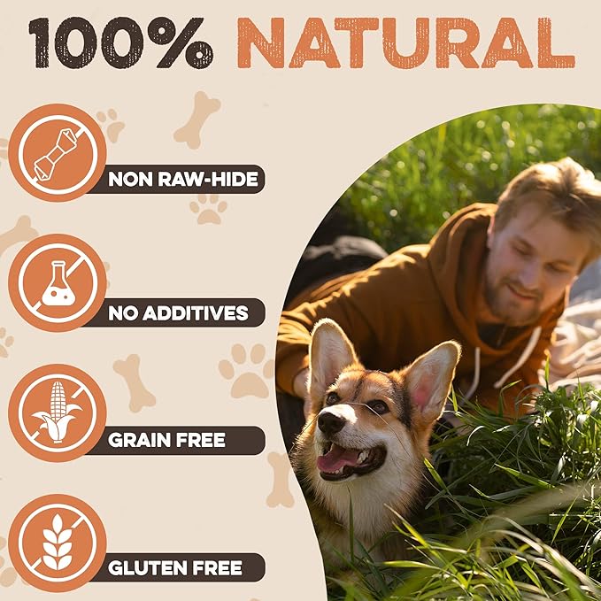 Premium Beef Cheek Rolls for Dogs 10-12" - (10-Pack) Long Lasting, Safe & Natural Rawhide Alternative Chews, Ideal for Large Dogs & Aggressive Chewers, Supports Dental Health & Digestion