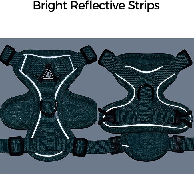 Cat Harness and Leash Set Escape Proof Tactical Large Kitten Harness Emotional Support Cat Vest, Turquoise, L