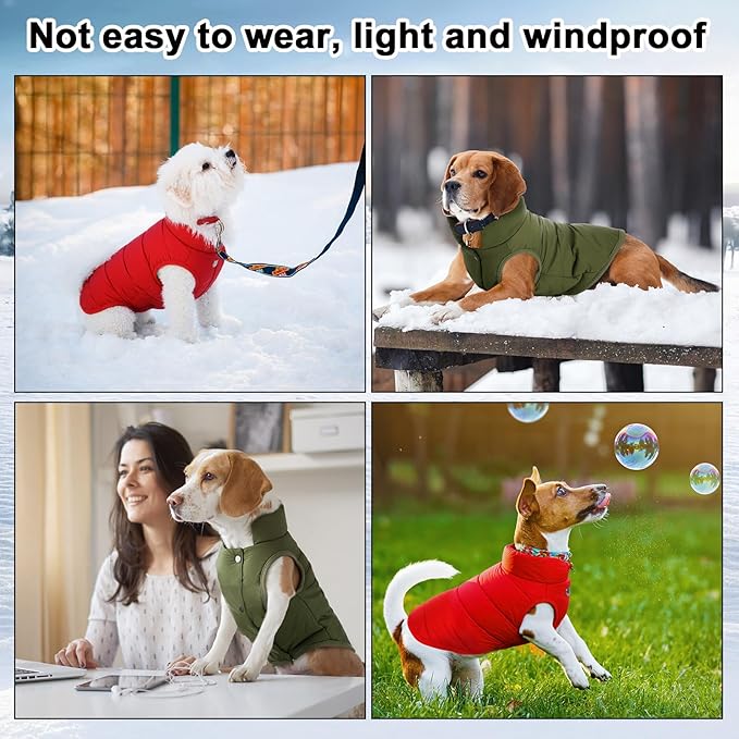 Syhood 2 Pieces Dog Jacket 2 Layers Fleece Lined Dog Jacket Warm Soft Windproof Small Pet Coat for Cold Winter Weather (S,Red,Green)