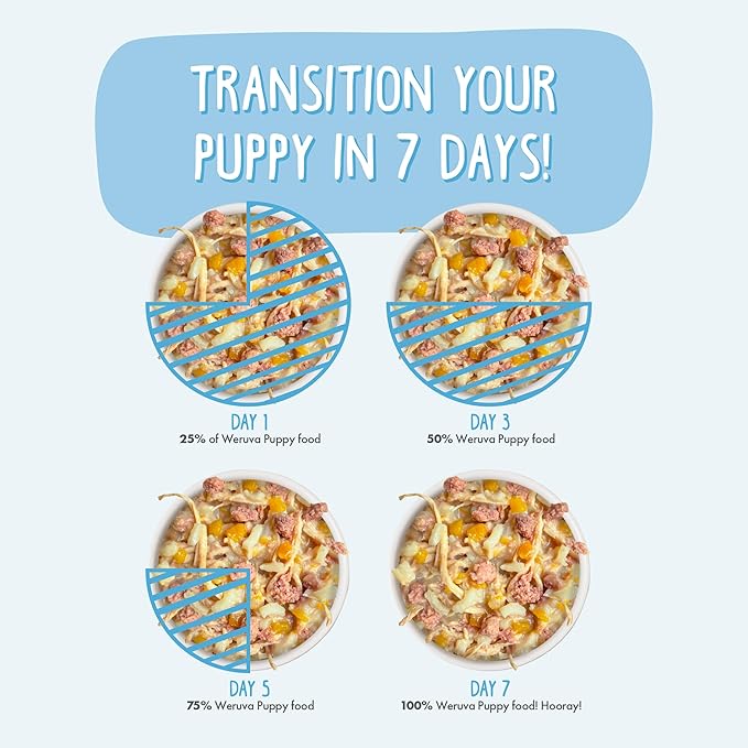 Weruva Puppy, Chicken Formula in Gravy, 6oz Can, Pack of 8