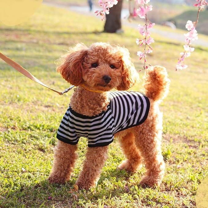 Geyoga 6 Pieces Dog Striped T-Shirt Cotton Breathable Pet Apparel Colorful Puppy Sweatshirt Clothes for Small to Medium Dogs Puppy(Dark Color,M)