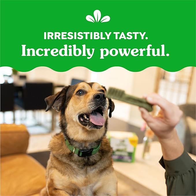 Greenies Original Large Dental Dog Treats, 36 oz. Pack (24 Treats)