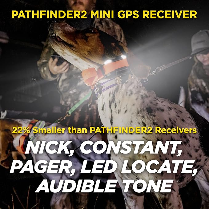 Dogtra Pathfinder 2 Mini - 4 Mile GPS Tracker Dog Hunting Training Collar with Remote, Rechargeable E-Fence Training Collar for Small Medium Large Sport Hunting Dogs, Electric Collar for Professionals