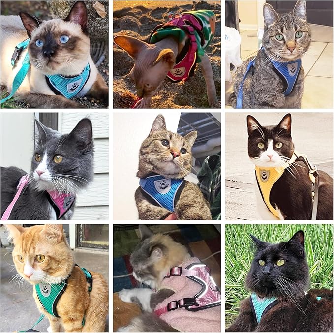 PUPTECK Cat Harness and Leash Set Escape Proof Reflective Cat Walking Harness Adjustable Soft Breathable Mesh Vest for Small Pets, Aquamarine, L