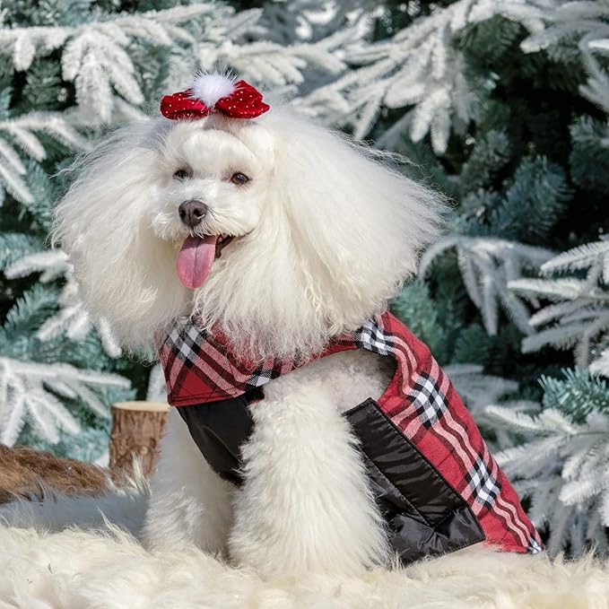 CuteBone Winter Dog Jacket - Reversible, Windproof & Waterproof - Thick, Soft Coat with Leash Hole - Sizes S, M, L - Perfect for Cold Weather
