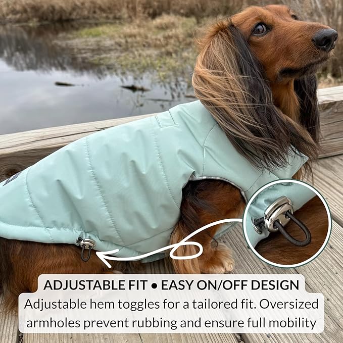 DJANGO Puffer Dog Coat – Warm Winter Dog Jacket & Water-Repellent Insulated Puffer Vest with Striped Lining, Harness Hole, Adjustable Fit for Small & Medium Dogs, Dachshunds – Sea Foam Green, Medium