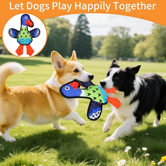 Interactive Squeaky Dog Toys,Crinkle Dog Toy to Keep Them Busy,Colorful Absurd Duck Dog Toys,Fun for Indoor Puppies,Chewing and Playing(Green)