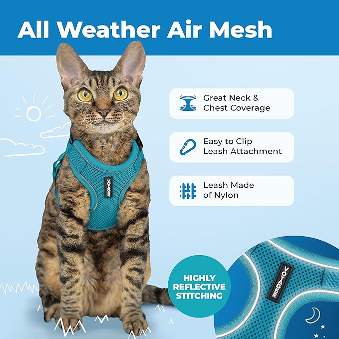 Voyager Escape Proof Cat Harness and Leash Set with Reflective Stitching, Neoprene Handle 5ft - Supports Small, Medium and Large Cats, Kittens for Walking by Best Pet Supplies - Turquoise, XS