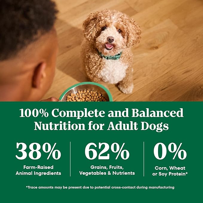Nutro Natural Choice Lamb & Brown Rice Adult Small Bites Dog Food Recipe, 12 lb. Bag