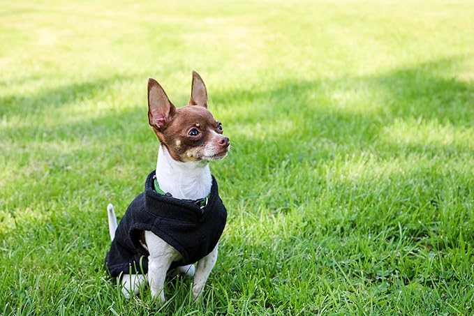 JACKO & CO - Fleece Vest Dog Sweater with Leash Ring - Soft, Warm & Lightweight Pullover Coat for Small & Medium Dogs, Puppies & Cats - Cozy Fall/Winter/Spring Pet Jacket (Black, Small 4-6lbs)