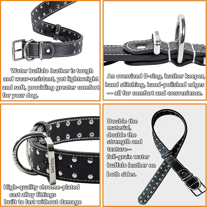 Studded Leather Dog Collar – Durable Adjustable Collar, Black Small