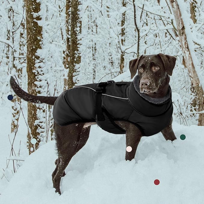 IECOii Extra Warm Reflective Dog Jacket - Adjustable Dog Winter Coat with Buckle & Soft Fleece for Small, Medium & Large Dogs