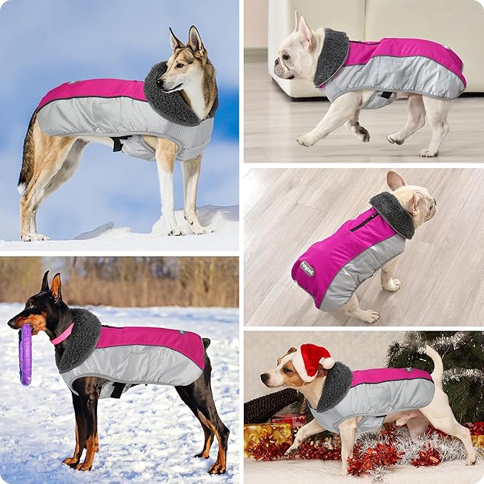 Dog Coat, Waterproof Ripstop Dog Winter Jacket with Leash Hole, Reflective Adjustable Warm Pet Fleece Snow Sweater for Small Medium Large Dogs - Rosy Red, L