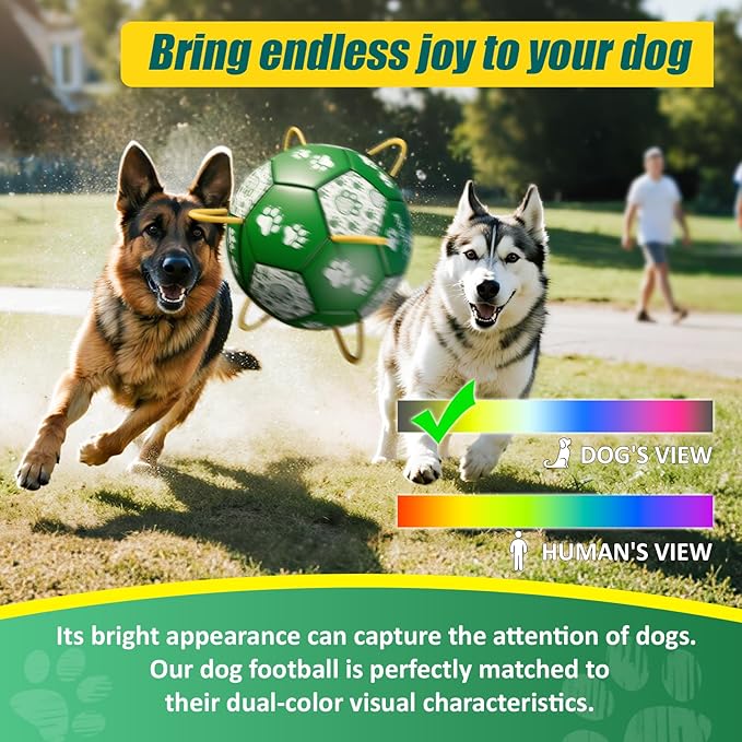 Size 2 Dog Soccer Ball with Straps Durable Training Ball for Pets Interactive Outdoor Dog Toy, Green & White, Paw Design, for Small & Medium Puppie