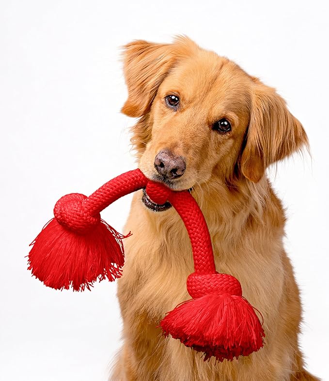 Playology Dog Toys | Dri-Tech Rope Toy Tug of War Rope for Aggressive Chewers (Value 2-Pack) | Medium Peanut Butter/Beef Scented Toys - Easy to Clean and Made from Non Toxic Materials