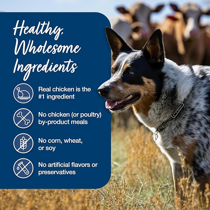 Blue Buffalo Blue's Stew Grain Free Natural Adult Wet Dog Food, Chicken Stew 12.5 oz cans (Pack of 12)