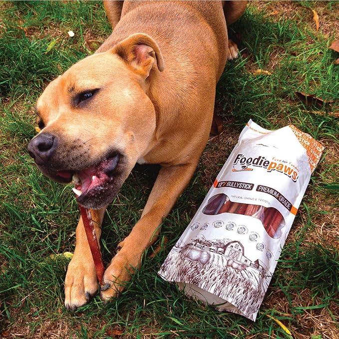 FOODIEPAWS 6 Inch Bully Sticks for Dogs, 10 Pack | All Natural, Grass-Fed Beef Pizzle | Single Ingredient, Rawhide-Free & Fully Digestible Dog Chews | Odor-Free, Long Lasting Treats for All Breeds