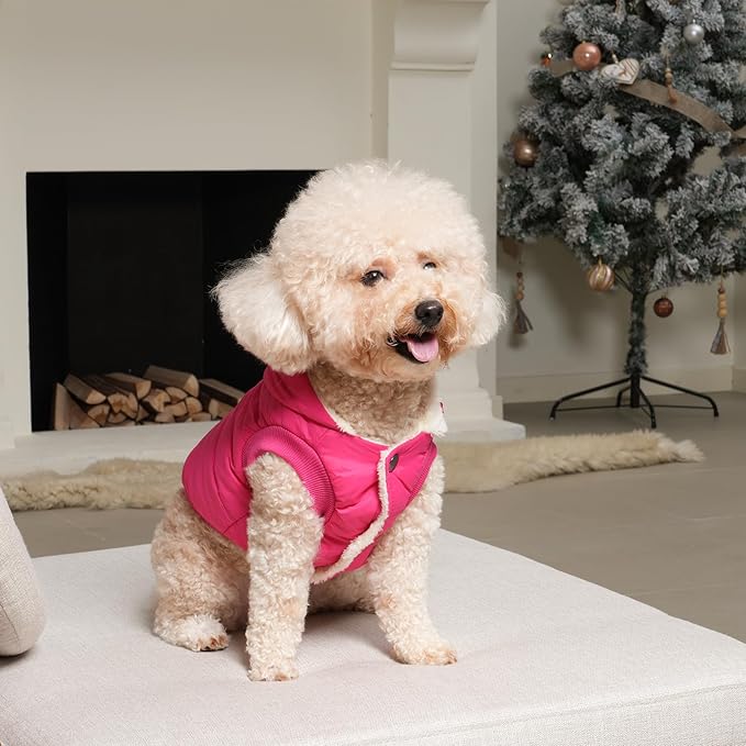 Fleece Lining Extra Warm Dog Hoodie in Winter for Small Dogs Jacket Puppy Coats with Hooded Pink M