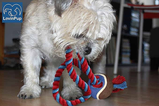 Dog Rope Toy with Tennis Ball, Nylon Ropes with Balls, Fun Tug of War Toys for Dogs, Tough Pet Toy for Aggressive Chewers, Eskimo, Terrier, Beagle and More(1 Rope Dog Toy Blue Ball FBA)