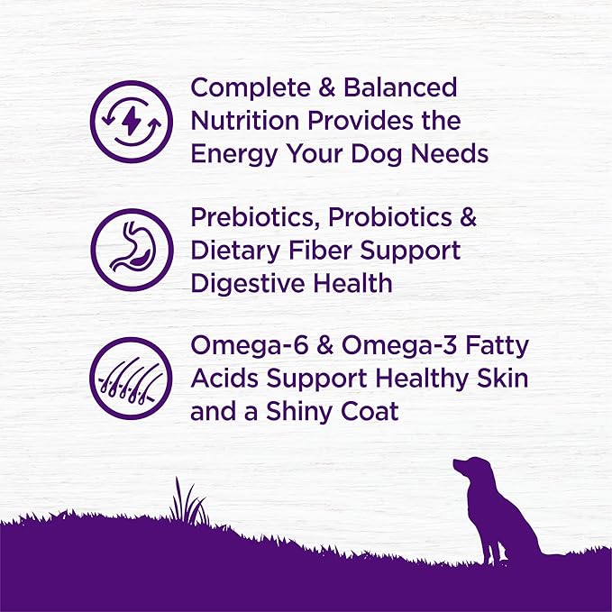 Wellness Complete Health Dry Dog Food with Grains, Natural Ingredients, Made in USA with Real Meat, All Breeds for Adult Dogs (Chicken & Oatmeal, 15-Pound Bag)