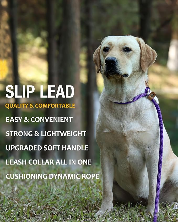 lynxking 8 FT Dog Leash Slip Lead 2 Pack Strong Heavy Duty Braided Dog Training Leash No Pull Training Lead Leashes for Medium Large and Small Dogs