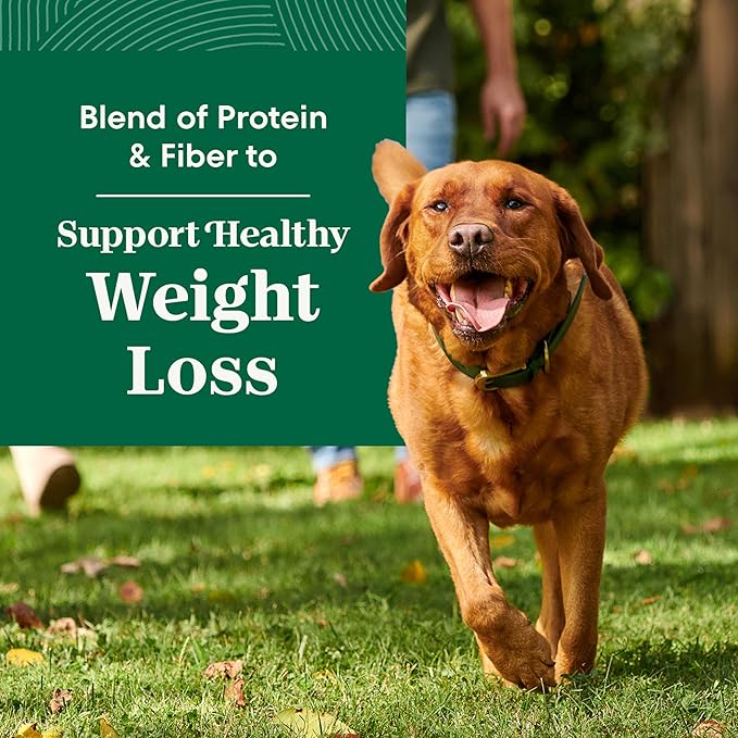 Nutro Natural Choice Lamb & Brown Rice Adult Healthy Weight Dog Food Recipe, 30 lb. Bag