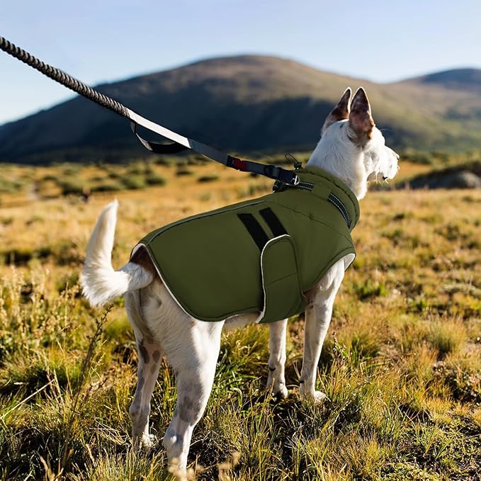 IECOii Waterproof Dog Coat for Medium Dogs, Reflective Dog Jacket with Collar Built in, Thick Fleece Dogs Coat for Winter Easy On Hook & Loop Pet Snowsuit for Hunting, Hiking, Camping, Army Green - L