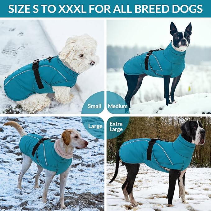 Queenmore Medium Dog Coat, Winter Dog Jacket, Waterproof Puffy Dog Snowsuit, Adjustable Reflective Fleece Lining Warm Padding Parka for Cold Weather, Blue M