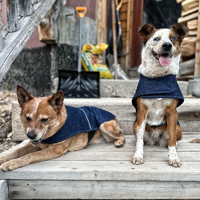 Carhartt Firm Duck Dog Chore Coat, Insulated Weather Resistant Jacket for Cold and Windy Conditions, Denim, Large