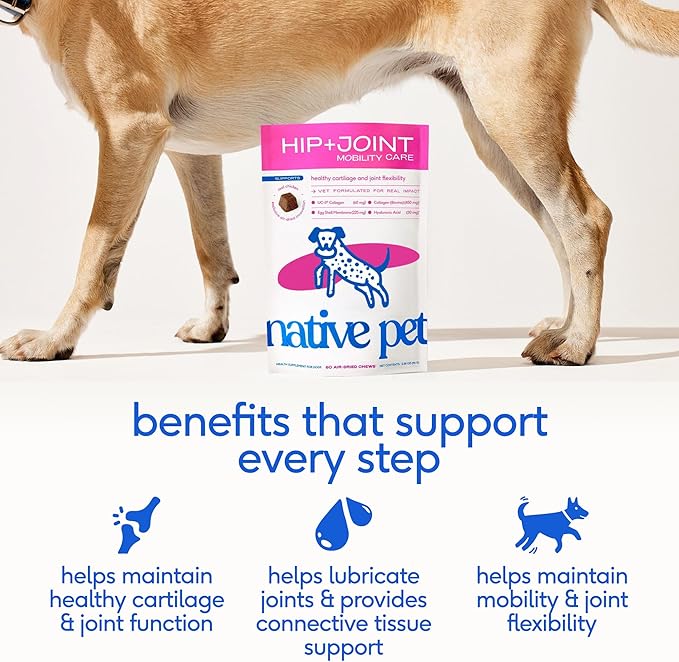 Native Pet Hip & Joint Supplement for Dogs - Advanced Dog Joint & Arthritis Supplement - Helps Maintain Healthy Cartilage, Joint Flexibility, Lubrication, & Function - with ESM & Collagen - 120 Chews